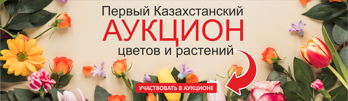 Аукцион цветов и растений  в Казахстане