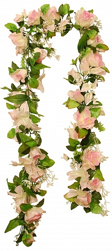 Лиана роз Синди